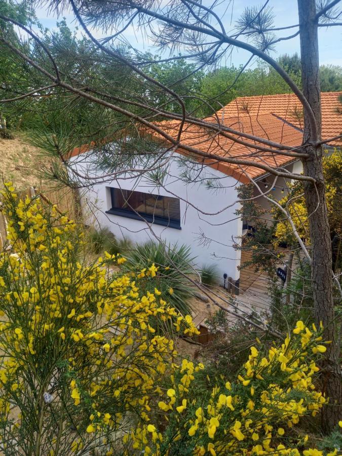 Cot'& Dune - Lodge D'Hote & Spa De Nage Saint-Augustin  Екстериор снимка